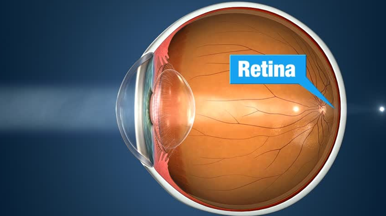 retina eye specialist